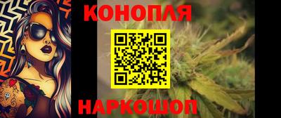 прущие грибы Кингисепп