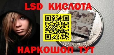 прущие грибы Кингисепп