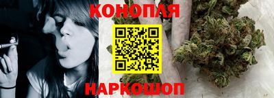 прущие грибы Кингисепп