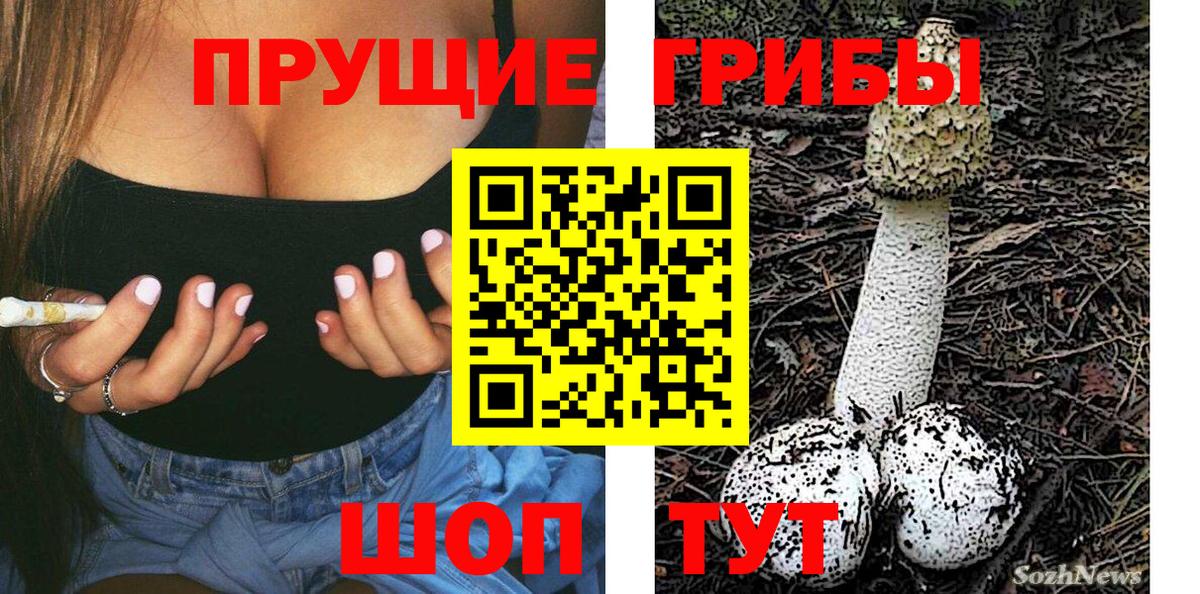 Псилоцибиновые грибы мицелий  Вход с VPN  Барабинск 