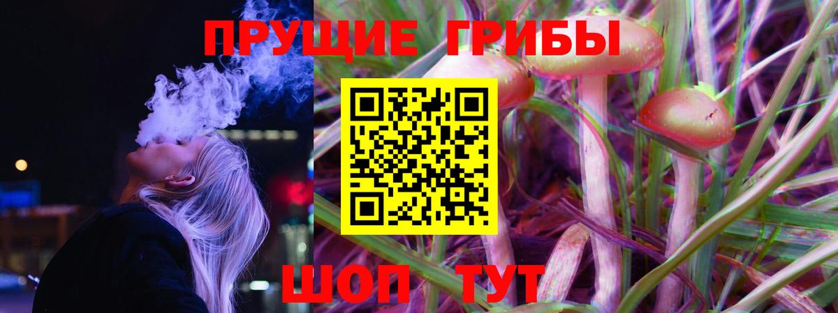 Псилоцибиновые грибы GOLDEN TEACHER Барабинск